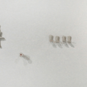 Ceramic Sculptures Installation, 2013. Glazed porcelain, various dimensions.